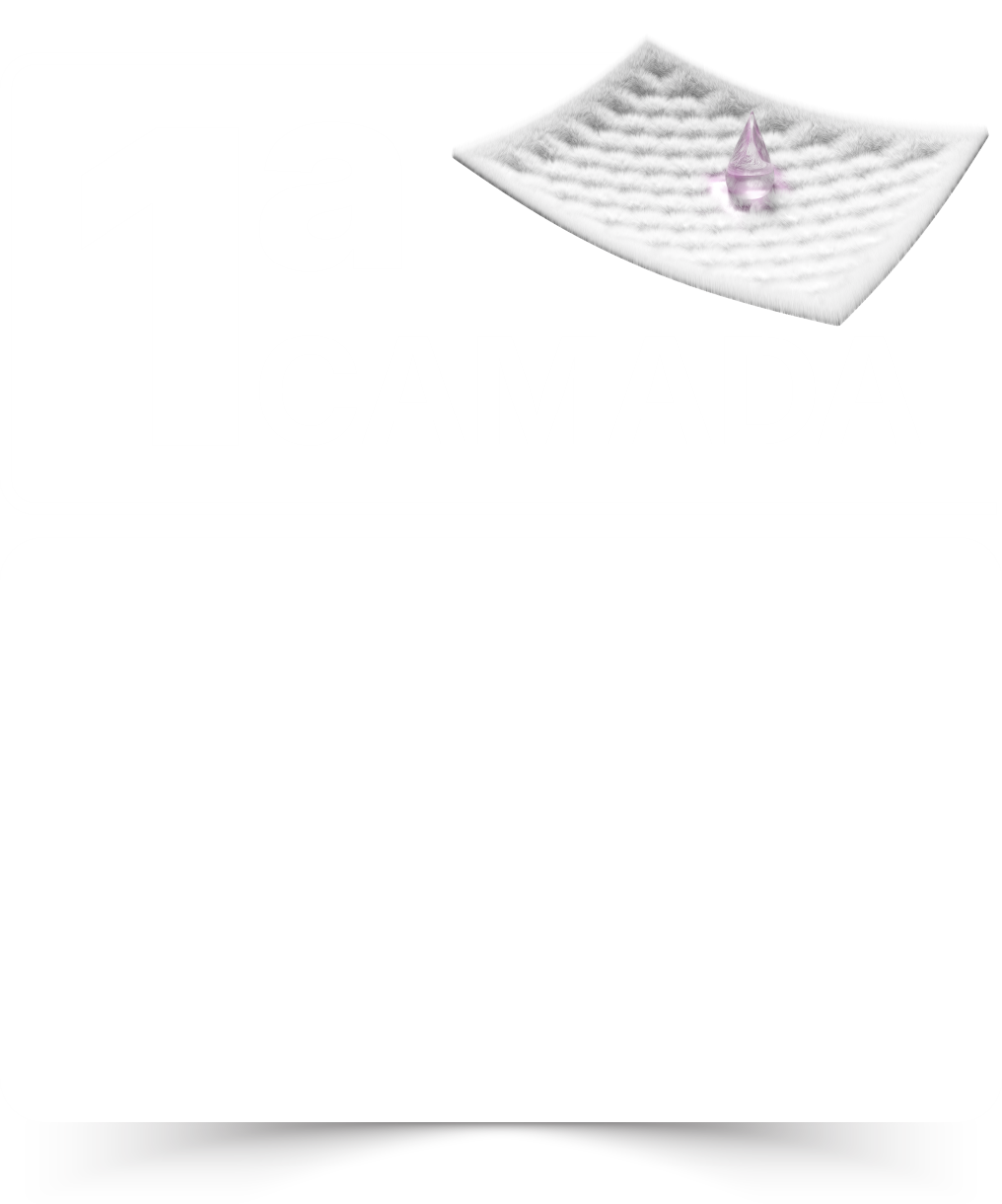 Primera capa